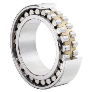 precision-double-row-cylindrical-roller-bearings